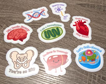 Anatomy Science Pun Stickers | 8-Piece Set, Individual Stickers, or Sticker Sheet