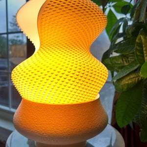 Curvy Table Lamp: 3D-Printed Organic Modern Ambient Light