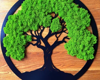 Árbol de la vida con musgo natural (20, 30, 40, 50 y 60 cm) / Decoración con musgo / Árbol de la vida / Arte mural / Reindermoos / Decoración de pared / Moosbild / Moosbaum