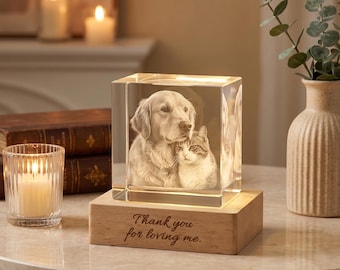 Foto personalizada en 3D de cristal con base de luz LED, recuerdo de cristal con foto de mascota grabado con láser a medida, regalo conmemorativo para amantes de los perros y los gatos.