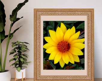 Sunny Yellow Flower Print: Botanical Photography (Digital Download)