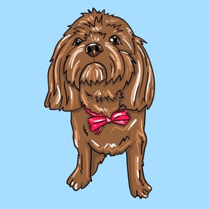 May include: A brown dog with a pink bow tie. The dog is looking up and has a fluffy coat.