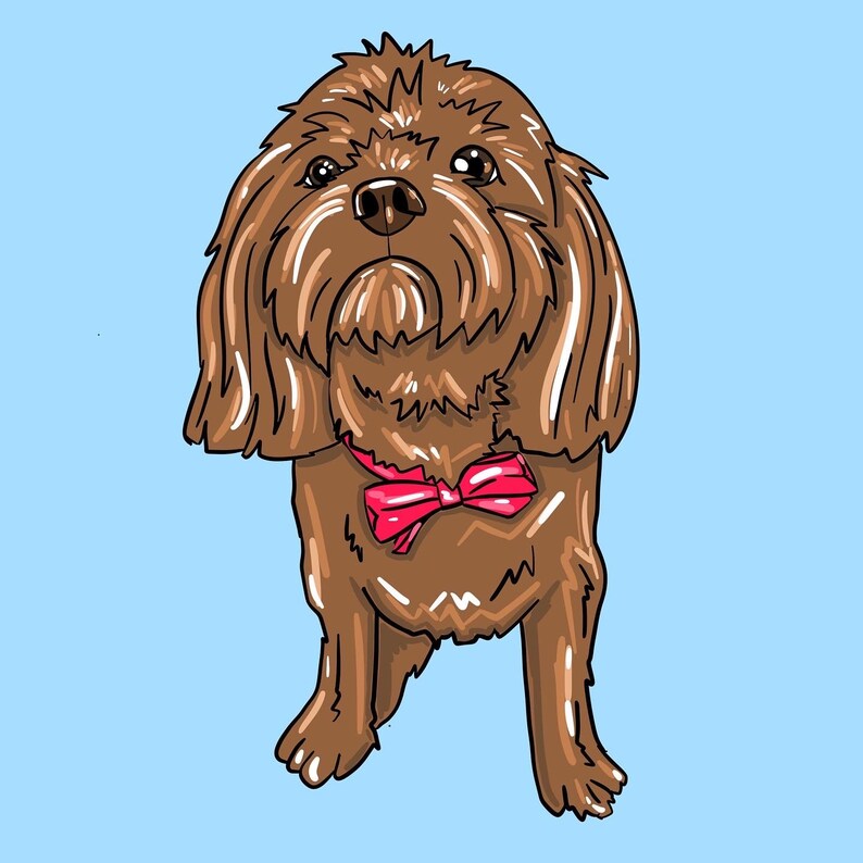 May include: A brown dog with a pink bow tie. The dog is looking up and has a fluffy coat.
