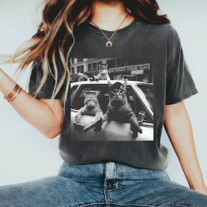 Unisex  Funny Cat Gang Shirt, Vintage Oversized Shirt, Funny Cat Meme Shirt, Funny Gang Shirt, Cat Lovers Gift, Comfort Colors Shirts