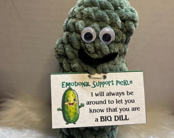 Crochet Pickle, Emotional support Pickle, Pickle Plushie