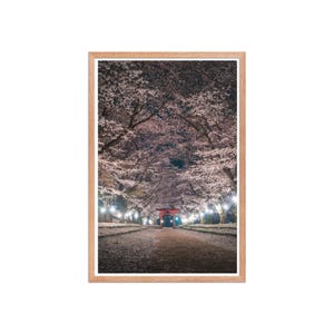 Sakura Illumination – Torii Under the Night Blossoms