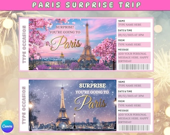 Paris Surprise Trip Ticket: Editable Boarding Pass Template (Digital Download), Paris Boarding Pass, Paris Gift Ticket, Paris Travel Ticket