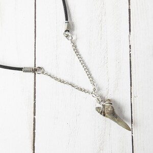 Real Fossil Shark Tooth Necklace: Silver Wire Wrapped Pendant, Leather Cord