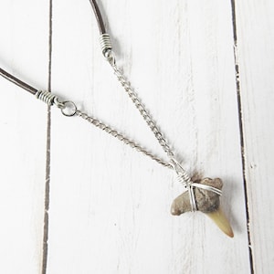 Real Fossil Shark Tooth Necklace: Silver Wire Wrapped Pendant, Leather Cord