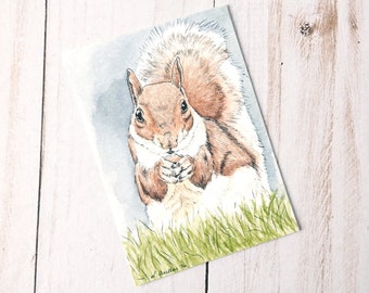 Squirrel Art, ACEO Print, Squirrel Gifts, Woodland Zen, Watercolor Sketch, 2.5x3.5 Inch Tiny Painting