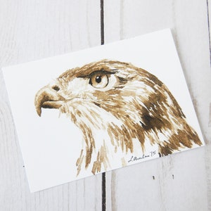 May include: A brown and white watercolor painting of a hawk's head. The hawk is looking to the right of the image. The painting is signed "L.Avila '15".