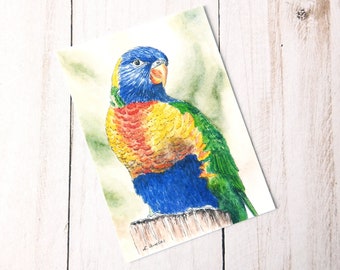 Bird Drawing of Parrot, ACEO Print, Bird Lover Gift, Wildlife Sketch, Watercolor Sketch, 2.5x3.5 Inch Tiny Painting