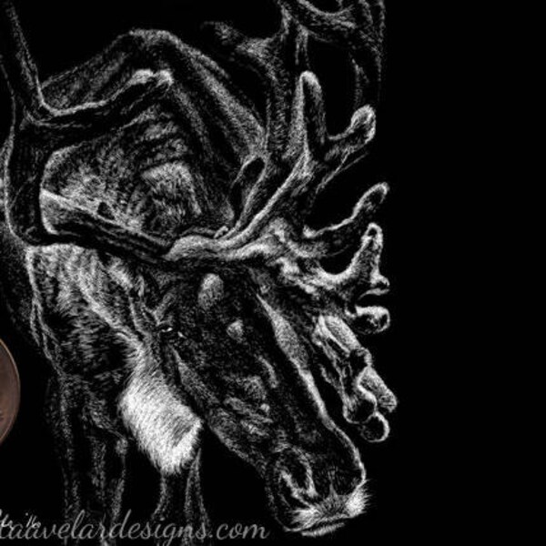 Scratchboard Art Etsy