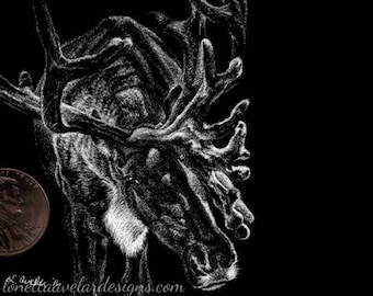 Caribou Fine Art, Original Miniature Drawing in Scratchboard