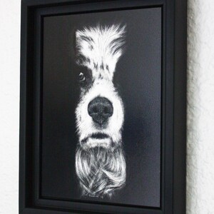 Springer Spaniel Fine Art, Original Drawing in Scratchboard image 2