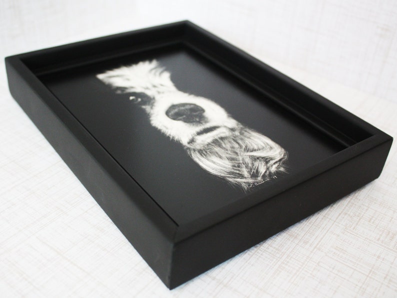 Springer Spaniel Fine Art, Original Drawing in Scratchboard image 3