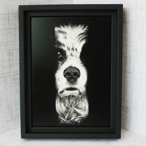 Springer Spaniel Fine Art, Original Drawing in Scratchboard image 4