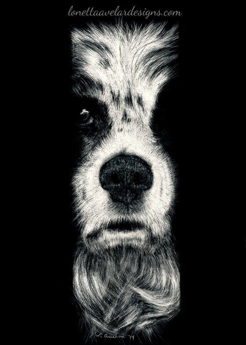 Springer Spaniel Fine Art, Original Drawing in Scratchboard image 1