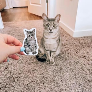 Personalized cat Stickers, custom cat sticker, cat face sticker