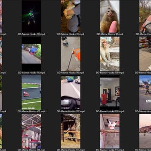 Puede incluir: Un collage de 20 clips de v&iacute;deo, cada uno mostrando una escena diferente. Los clips est&aacute;n dispuestos en una cuadr&iacute;cula de 5 filas y 4 columnas. Los clips muestran una variedad de temas, incluyendo animales, personas y objetos. Los clips est&aacute;n todos en formato horizontal.