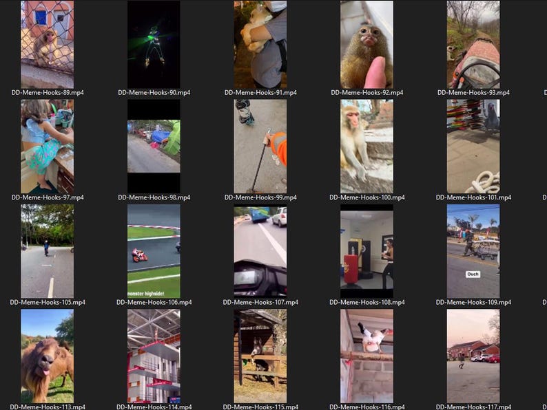 Puede incluir: Un collage de 20 clips de v&iacute;deo, cada uno mostrando una escena diferente. Los clips est&aacute;n dispuestos en una cuadr&iacute;cula de 5 filas y 4 columnas. Los clips muestran una variedad de temas, incluyendo animales, personas y objetos. Los clips est&aacute;n todos en formato horizontal.