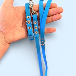 Puppy’s First Collar and Lead Set - Quick Release Collar and Lead Set: Waterproof and Lightweight Sky Blue with Silver Hardware