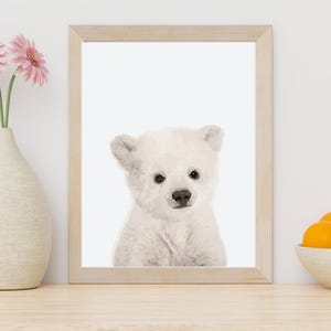 Cute Polar Bear Wall Art - Animal Wall Decor - Gifts for Animal Lovers - Home decor for Girls and Kids Room, Dorm, Office, Bedroom