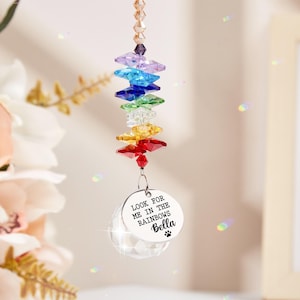 Regalos conmemorativos para perros, Puente Arcoíris, Atrapasol conmemorativo para mascotas, Regalo de condolencia por la pérdida de una mascota, Nombre personalizado, Perro, Gato, Regalos conmemorativos para mascotas