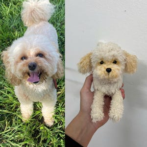 May include: A real dog and a handmade stuffed toy dog are shown side-by-side. The real dog is light brown with a pink tongue, standing in green grass. The toy dog is cream-colored with tan ears and a black nose, held by a person.