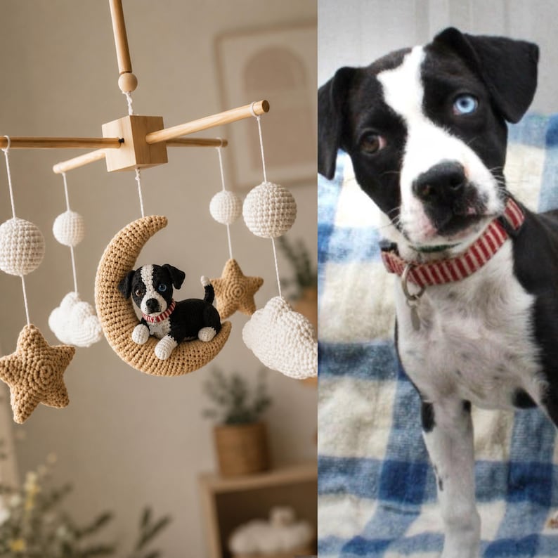 Puede incluir: Un m&oacute;vil de cuna con un cachorro negro y blanco de ganchillo sentado sobre una luna creciente color canela, rodeado de estrellas, nubes y esferas de ganchillo colgando de un marco de madera, junto a un cachorro real con collar a rayas rojas.