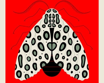 Leopard Moth screen print