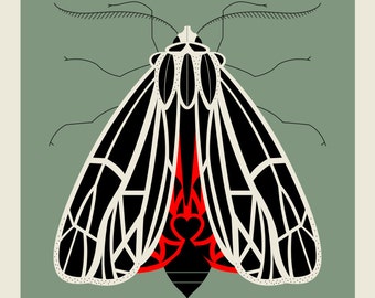 Tiger Moth screen print