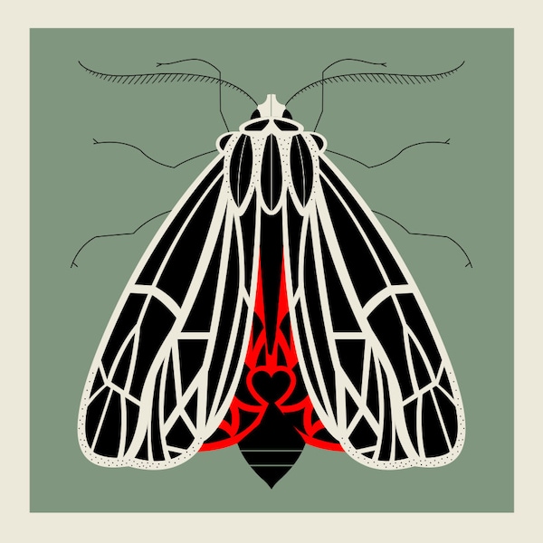 Tiger Moth screen print