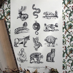 Storia di animali a quattro zampe e serpenti di Edward Topsell / Rare illustrazioni di animali d'epoca