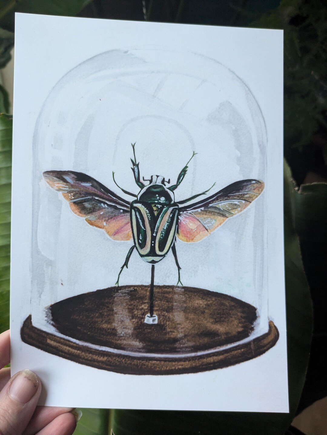 Green Derby's Flower Beetle Art Print Entomology Dome Watercolour ...