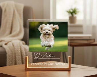 Personlig nattlampa med foto, nattlampa med foto för hundar, anpassad LED-nattlampa med akrylnamn, perfekt present till husdjursägare, fotogåvor
