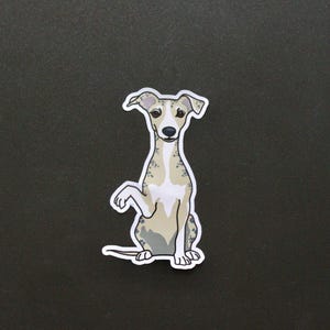 Adesivo per cane carino tigrato con levriero italiano Whippet - Decalcomania animale CONSEGNA GRATUITA NEL REGNO UNITO