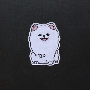 Pomeranian Cute Dog Sticker- Animal Decal FREE UK DELIVERY