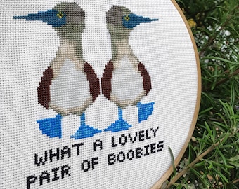 Lovely Boobies Cross Stitch Pattern PDF - Blue Footed Boobies Modern Cross Stitch Bird Sampler - Instant Download