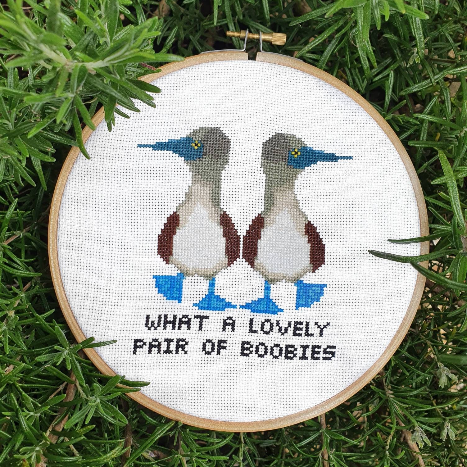 Lovely Boobies Cross Stitch Kit 7 What a Pair Modern Cross Stitch Hoop Wall  Art Wall Decor Wall Art Beginners Cross Stitch - Etsy