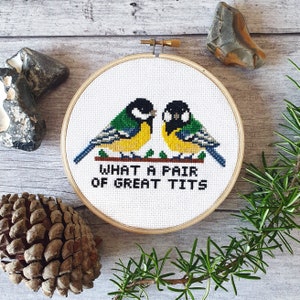 Bird Cross Stitch Kit 5" What a Pair of Great Tits, Funny Rude Birds, Modern Wall Art Hoop, Beginner friendly kit, housewarming gift