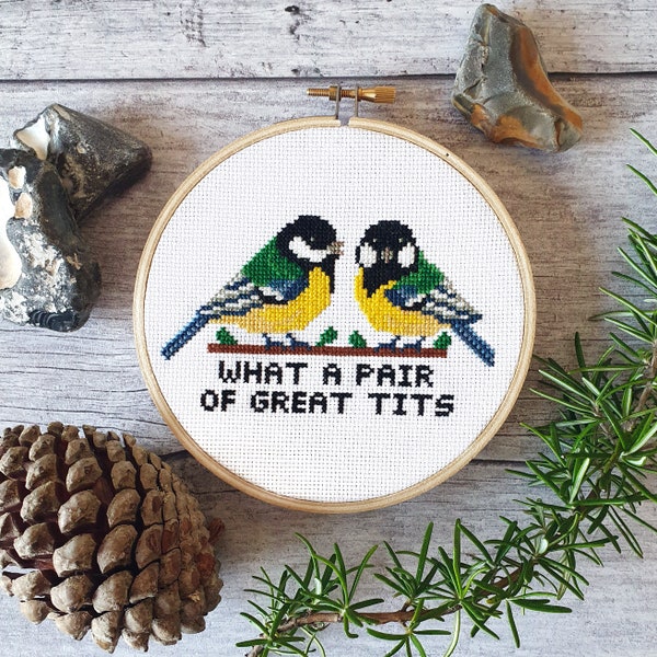 Bird Cross Stitch Kit 5" What a Pair of Great Tits, Funny Rude Birds, Modern Wall Art Hoop, Beginner friendly kit, housewarming gift