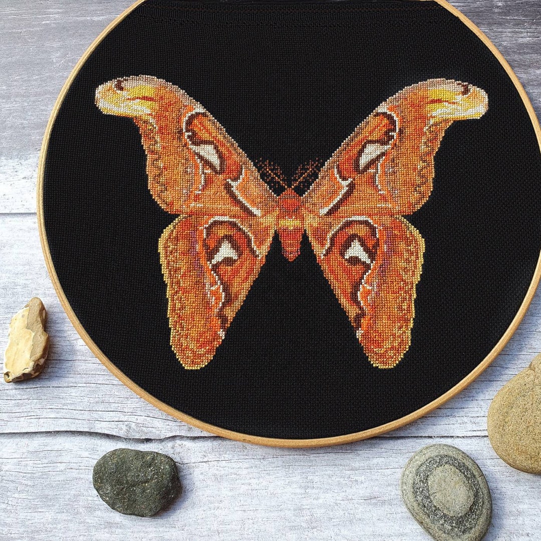 Atlas Moth Cross Stitch Pattern: Modern Sampler (PDF Pattern) - Etsy