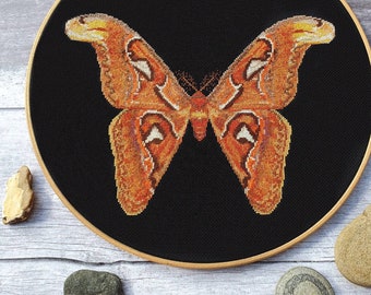 Atlas Moth Cross Stitch Pattern PDF - Modern Cross Stitch Sampler - Instant Download Digital Pattern