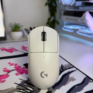 以下が含まれることがあります： スクロールホイールとLogitechの「G」ロゴが付いた白いワイヤレスコンピューターマウス。マウスは花柄のマウスパッドの上にあります。背景には小さな鉢植えの植物が見えます。