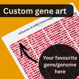 Puede incluir: Una impresión con el texto "Custom gene art" y "Your favourite gene/genome here". La impresión presenta un patrón de círculos rojos y rosas, con las palabras "Influenza A H1N1 Haemagglutinin" y "1701 bp" también visibles.