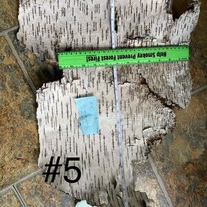 15”x21” Rough All Natural White Birch Bark Sheet, Natural Birch, Bark, Bark, Crafts, Birch Bark, Fairy Homes, Living Frames