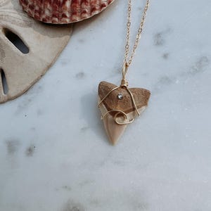 Shark tooth + gem necklace || unique beach jewelry || coastal || one-of-a-kind gifts