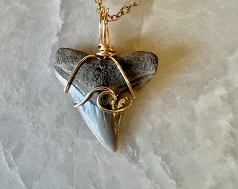 May include: A shark tooth pendant suspended from a gold-colored chain. The tooth is dark gray with a serrated edge and is secured by gold-colored wire wrapped in a wave-like pattern across the front, forming a loop at the top for the chain.