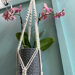 Macrame Plant Hanger